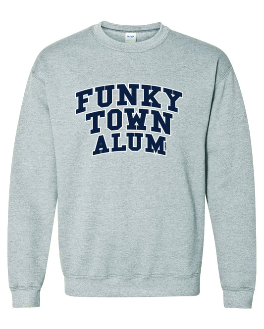 Funky Town Alum Pullover Crew Neck Grey